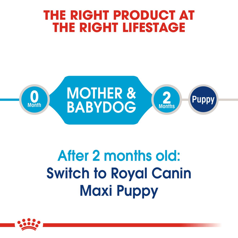 Maxi Starter Royal Canin Large Breed Mother & Babydog Food