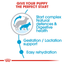 Maxi Starter Royal Canin Large Breed Mother & Babydog Food