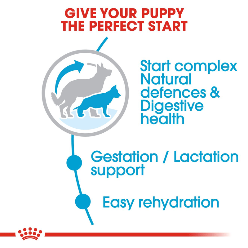 Maxi Starter Royal Canin Large Breed Mother & Babydog Food