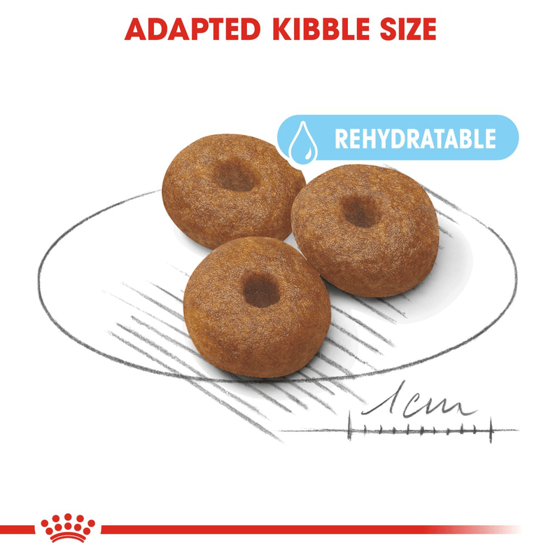 Maxi Starter Royal Canin Large Breed Mother & Babydog Food