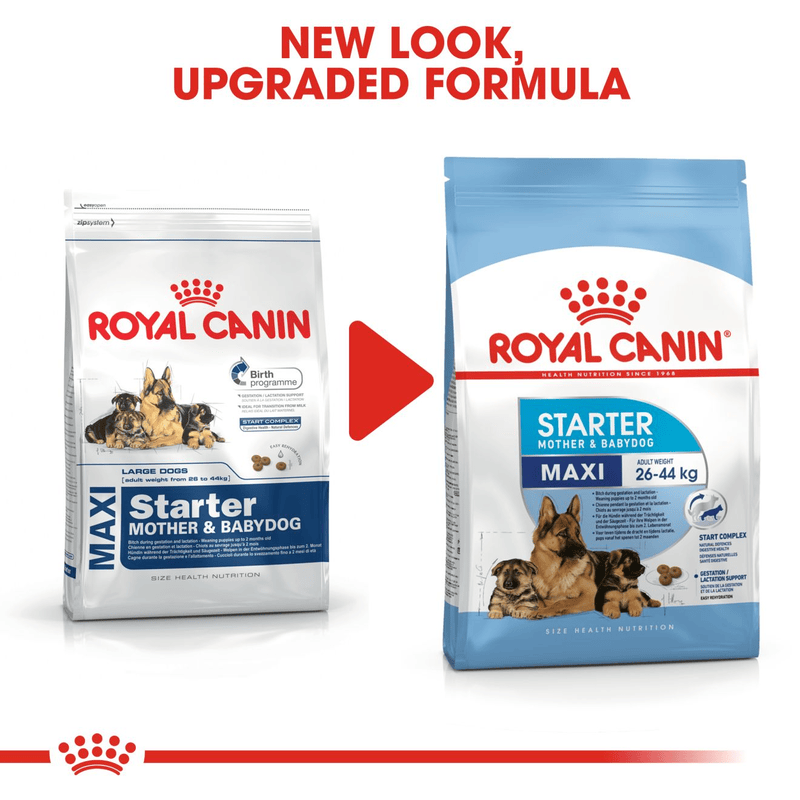 Maxi Starter Royal Canin Large Breed Mother & Babydog Food