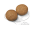 Medium Royal Canin Medium Breed Adult Dog Food