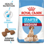 Starter Royal Canin Medium Breed Mother & Babydog Food