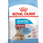 Starter Royal Canin Medium Breed Mother & Babydog Food