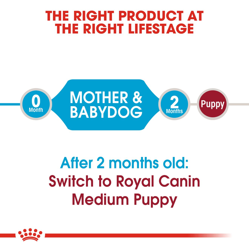 Starter Royal Canin Medium Breed Mother & Babydog Food
