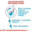Starter Royal Canin Medium Breed Mother & Babydog Food