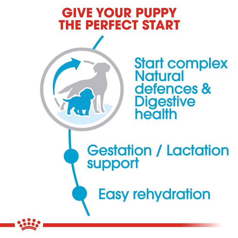 Starter Royal Canin Medium Breed Mother & Babydog Food
