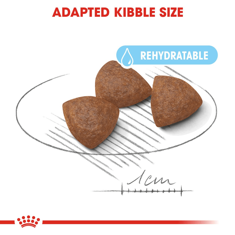 Starter Royal Canin Medium Breed Mother & Babydog Food