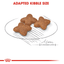 Mini Royal Canin Small Breed Adult Dog Food