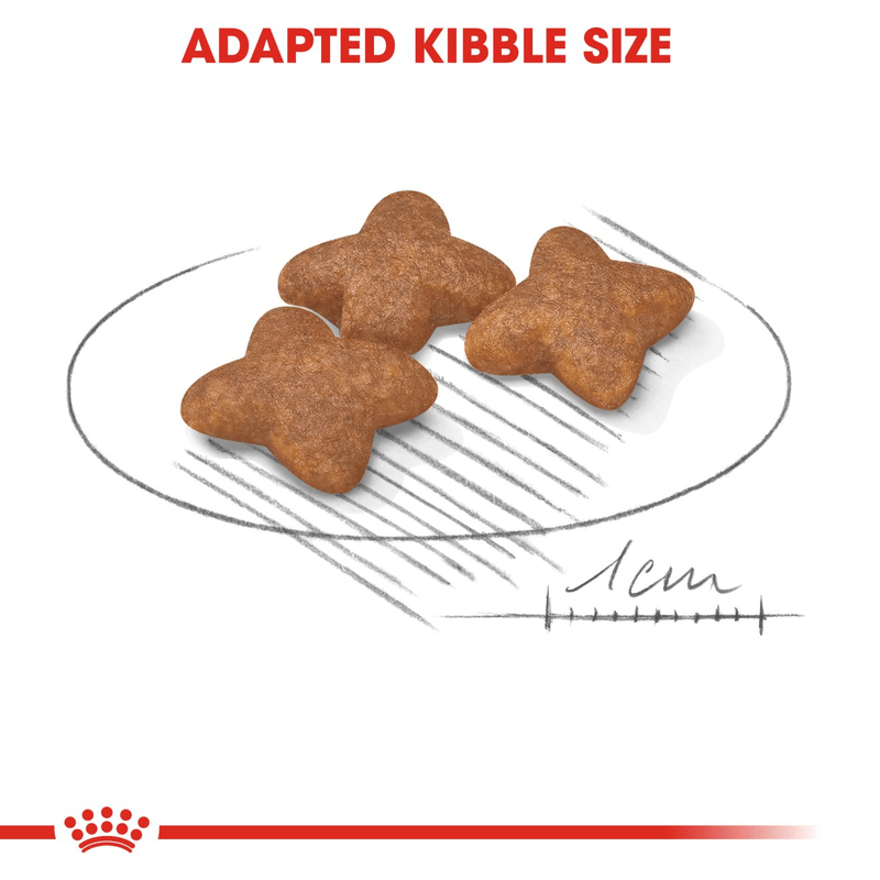 Mini Royal Canin Small Breed Adult Dog Food