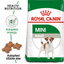 Mini Royal Canin Small Breed Adult Dog Food
