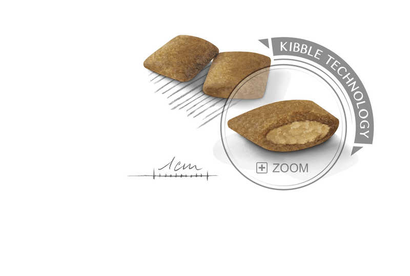 Mini Exigent Royal Canin Small Breed Adult Dog Food
