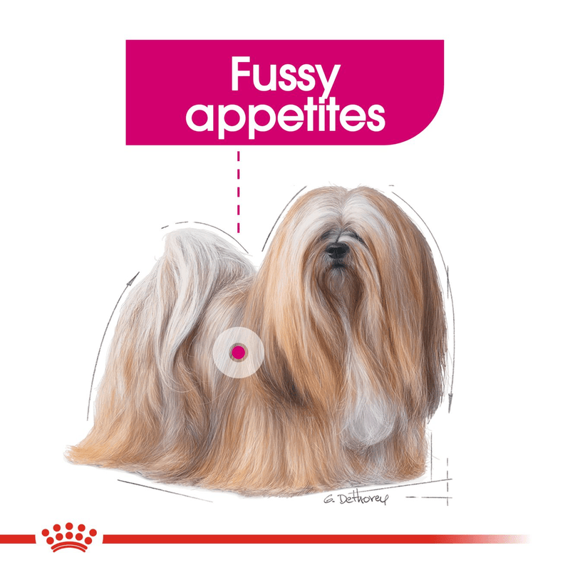 Mini Exigent Royal Canin Small Breed Adult Dog Food
