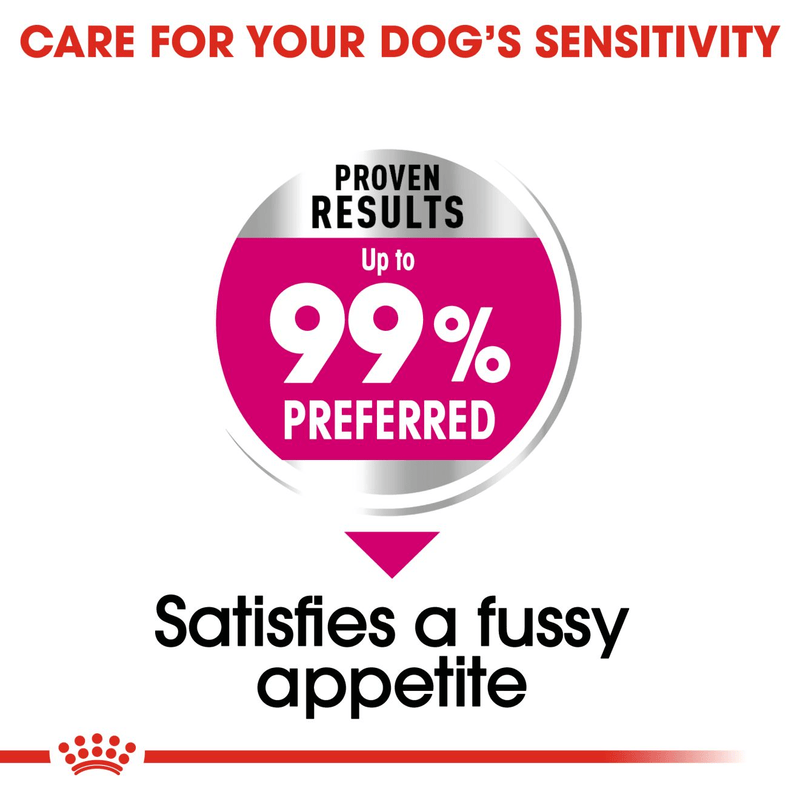 Mini Exigent Royal Canin Small Breed Adult Dog Food