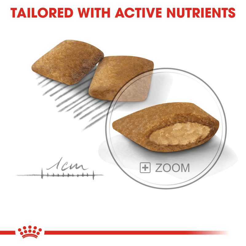 Mini Exigent Royal Canin Small Breed Adult Dog Food