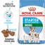 Mini Starter Royal Canin Small Breed Mother & Babydog Food