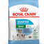 Mini Starter Royal Canin Small Breed Mother & Babydog Food