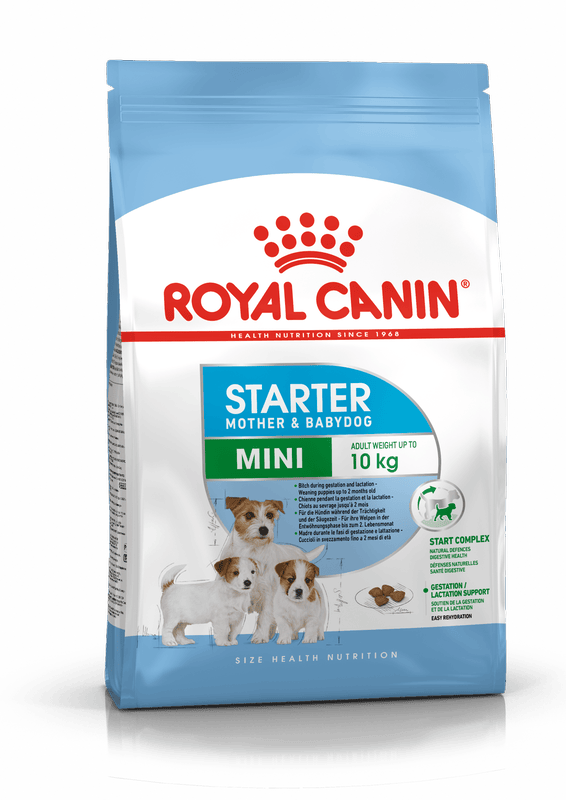 Mini Starter Royal Canin Small Breed Mother & Babydog Food