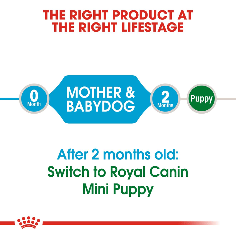 Mini Starter Royal Canin Small Breed Mother & Babydog Food