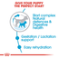 Mini Starter Royal Canin Small Breed Mother & Babydog Food