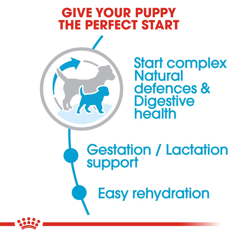 Mini Starter Royal Canin Small Breed Mother & Babydog Food