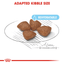 Mini Starter Royal Canin Small Breed Mother & Babydog Food