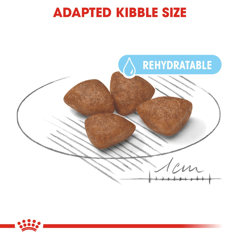 Mini Starter Royal Canin Small Breed Mother & Babydog Food