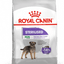 Mini Sterilised Royal Canin Small Breed Adult Dog Food