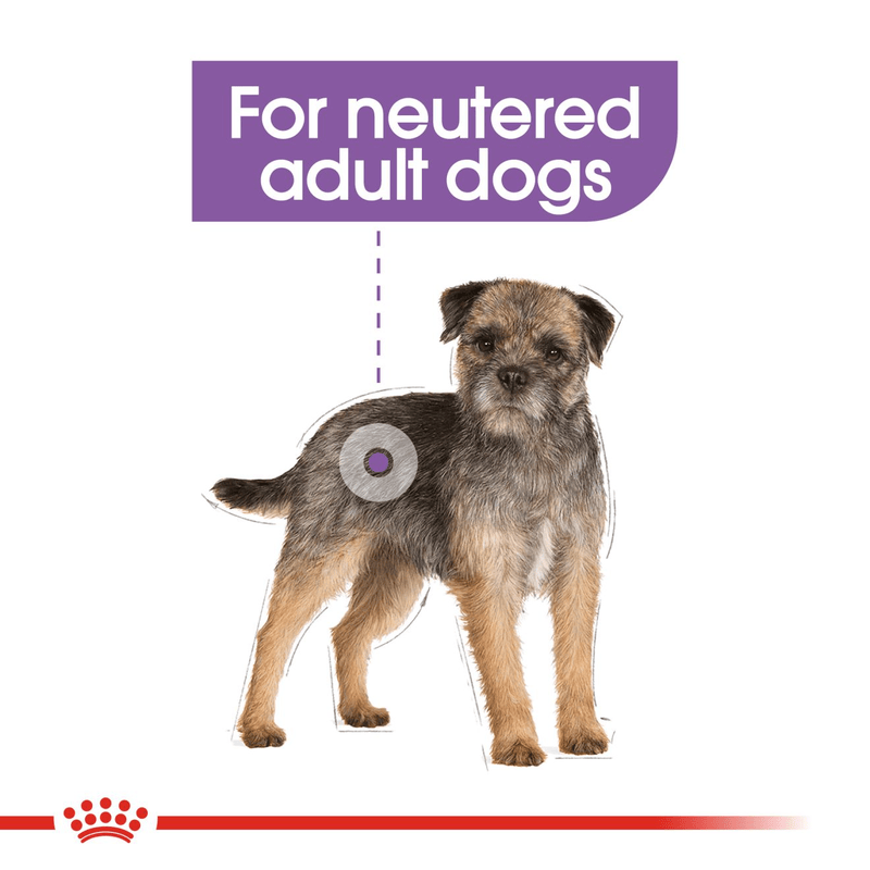 Mini Sterilised Royal Canin Small Breed Adult Dog Food