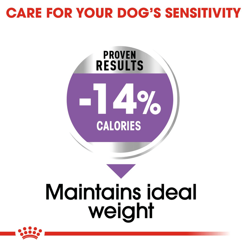 Mini Sterilised Royal Canin Small Breed Adult Dog Food