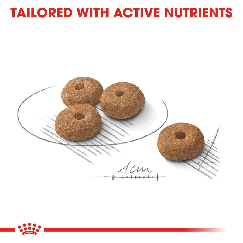 Mini Sterilised Royal Canin Small Breed Adult Dog Food