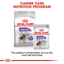 Mini Sterilised Royal Canin Small Breed Adult Dog Food