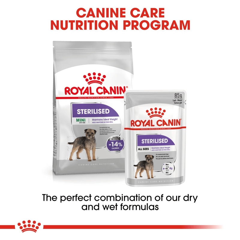 Mini Sterilised Royal Canin Small Breed Adult Dog Food