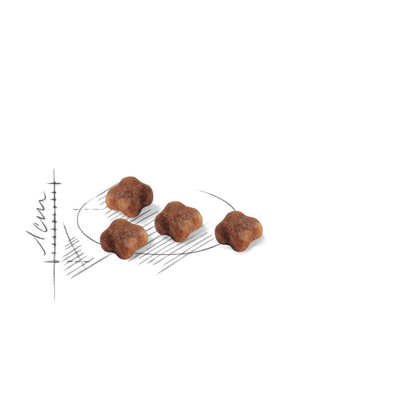 Mother & Babycat Royal Canin Cat Food