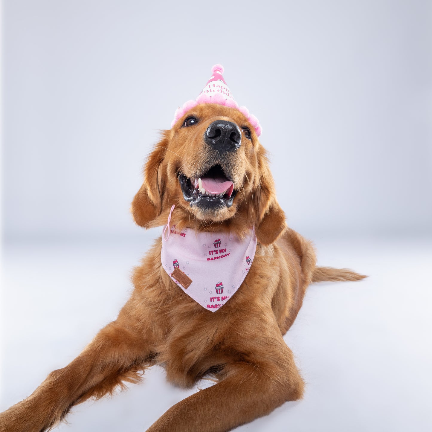 “It's My Barkday” Pink PAWPAW Dog Bandana