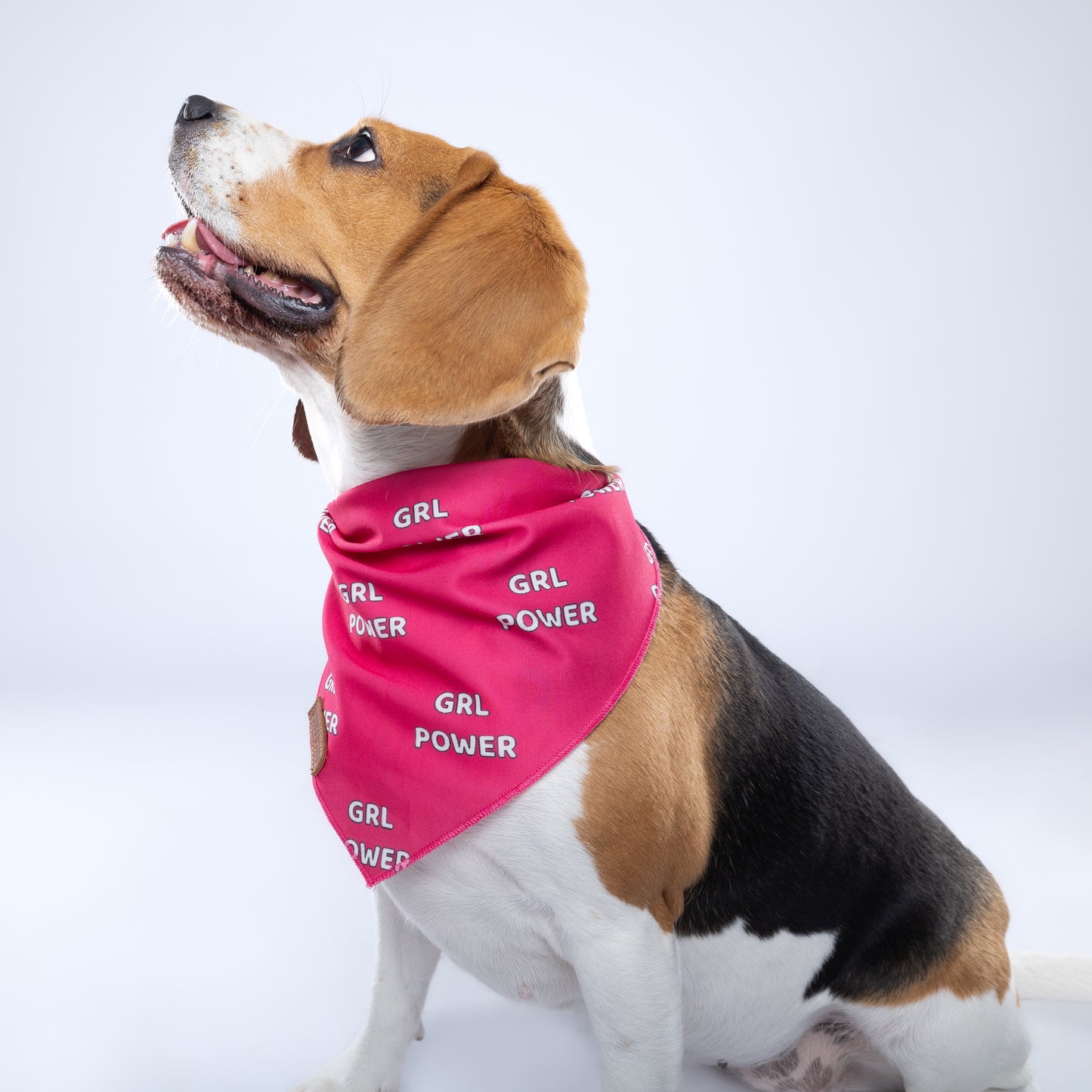 “GRL Power” PAWPAW Dog Bandana