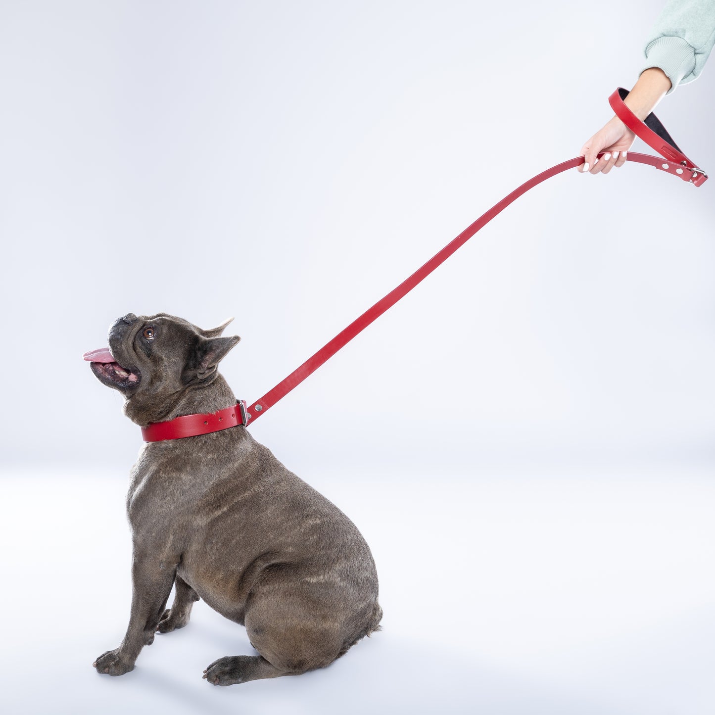 Red PawFlex PAWPAW Dog Leash