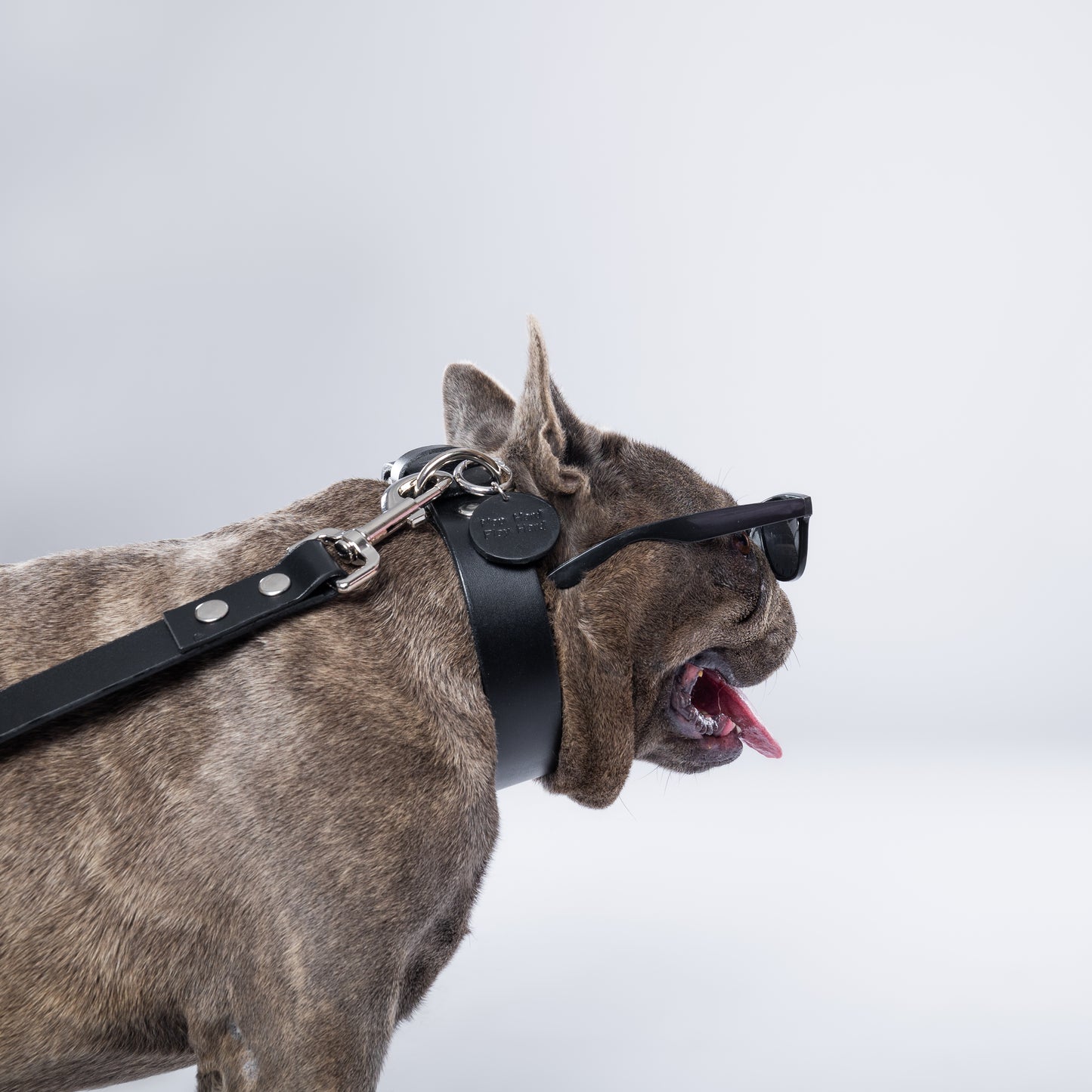 Black PAWPAW Dog Collar + Leash Set