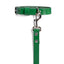 Green PAWPAW Dog Collar + Leash Set