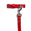 Red PAWPAW Dog Collar + Leash Set