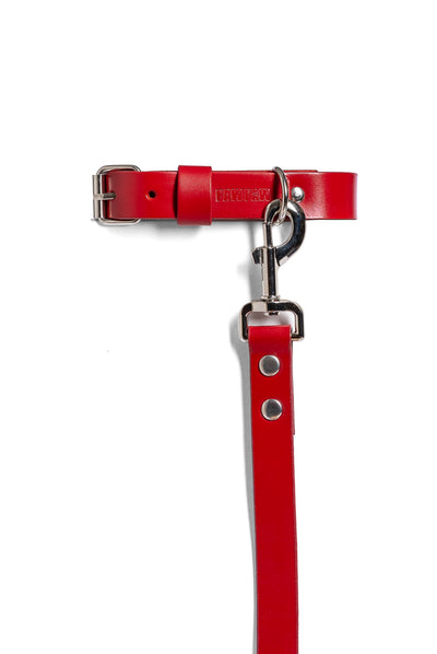 Red PAWPAW Dog Collar + Leash Set