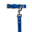 Blue PAWPAW Dog Collar + Leash Set
