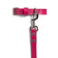 Pink PAWPAW Dog Collar + Leash Set