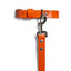 Orange PAWPAW Dog Collar + Leash Set