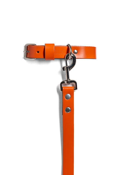 Orange PAWPAW Dog Collar + Leash Set