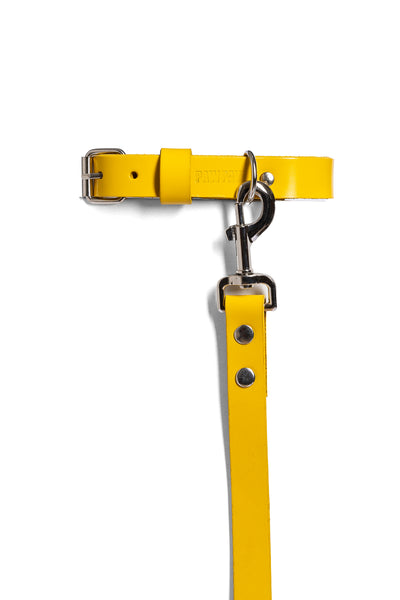 Yellow PAWPAW Dog Collar + Leash Set
