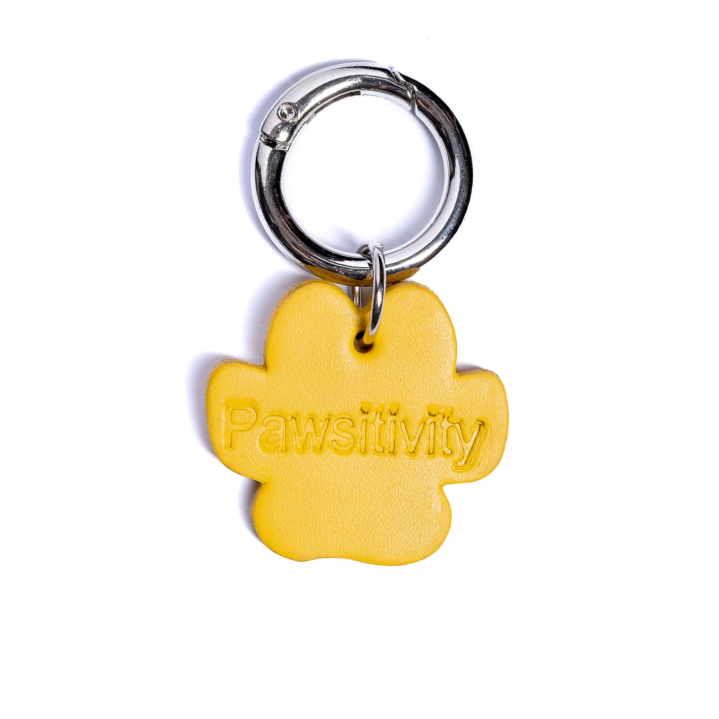 “Pawsitivity” PَAWPAW Dog Collar Charm