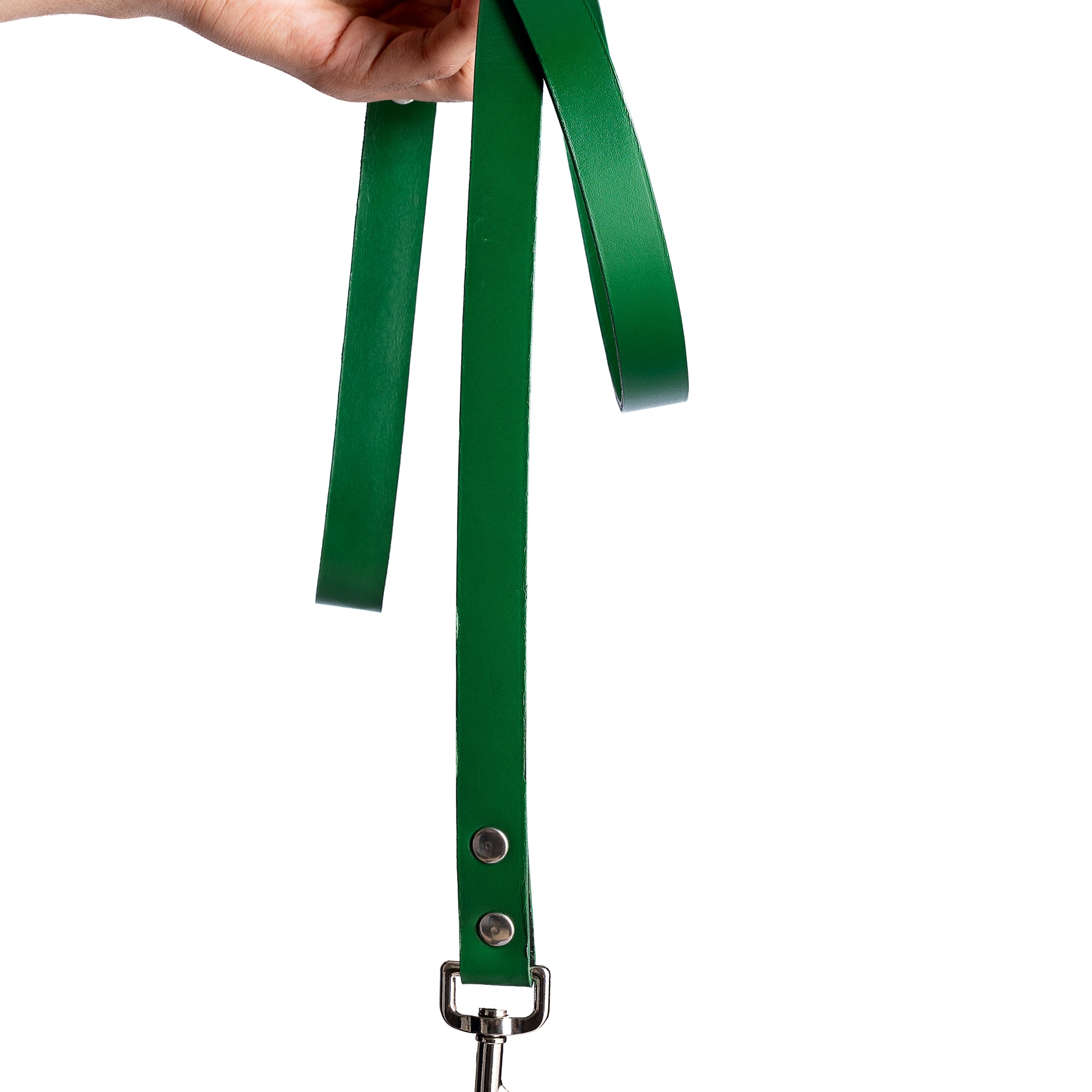 Green PawFlex Leash