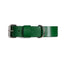Green PAWPAW Dog Leather Collar