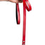 Red PawFlex PAWPAW Dog Leash